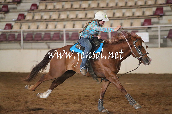 RealDealRodeoNov2013_0269