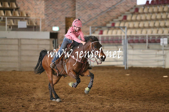 RealDealRodeoNov2013_0111