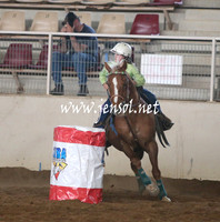 RealDealRodeoNov2013_0017