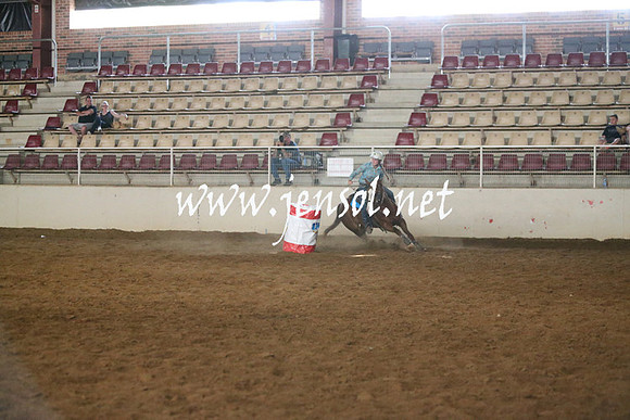 RealDealRodeoNov2013_0259