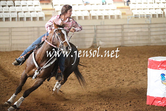 RealDealRodeoNov2013_0272
