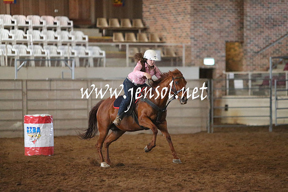 RealDealRodeoNov2013_0220