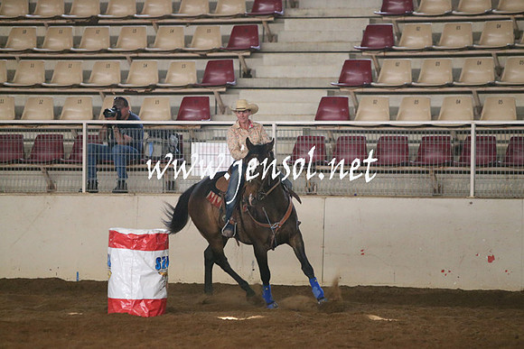 RealDealRodeoNov2013_0318
