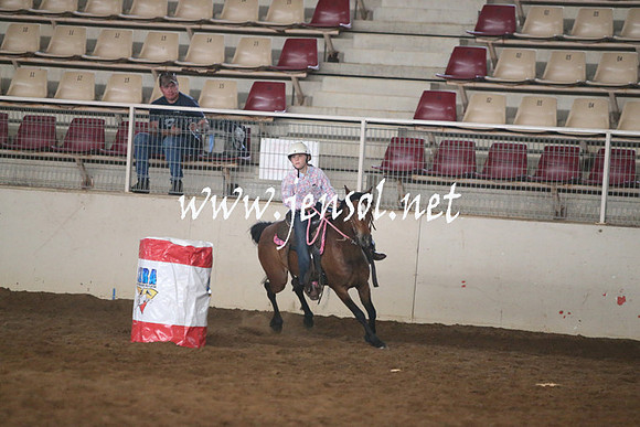RealDealRodeoNov2013_0044