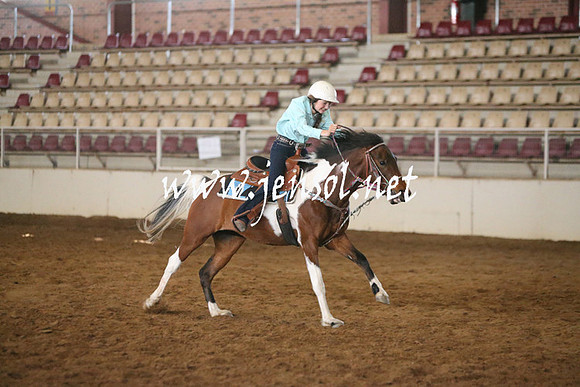 RealDealRodeoNov2013_0211