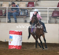 RealDealRodeoNov2013_0002