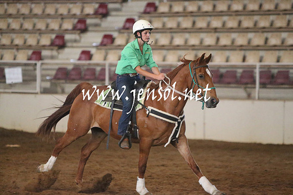RealDealRodeoNov2013_0251