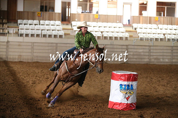 RealDealRodeoNov2013_0308