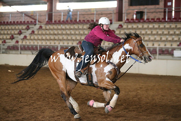 RealDealRodeoNov2013_0091