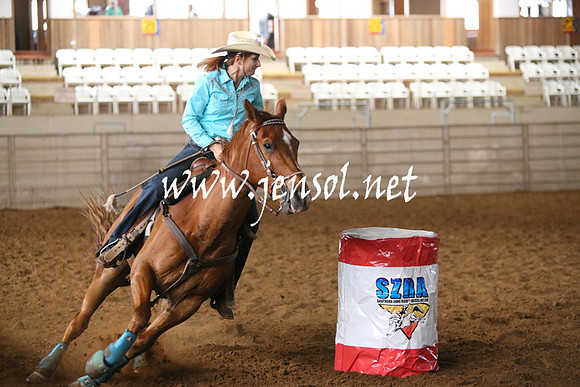 RealDealRodeoNov2013_0295