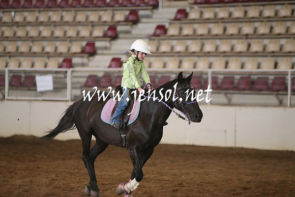 RealDealRodeoNov2013_0059