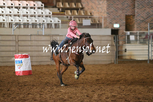 RealDealRodeoNov2013_0107