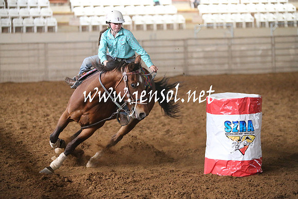 RealDealRodeoNov2013_0119