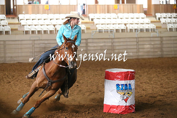 RealDealRodeoNov2013_0294