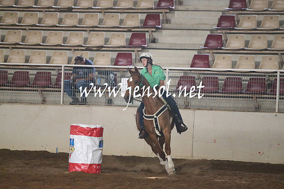 RealDealRodeoNov2013_0245
