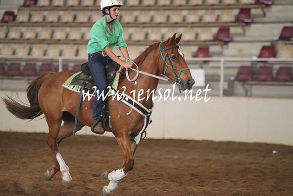 RealDealRodeoNov2013_0253