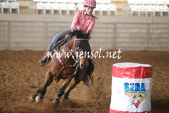 RealDealRodeoNov2013_0099
