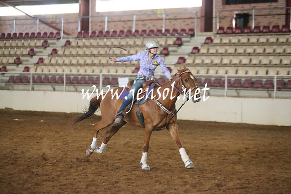 RealDealRodeoNov2013_0193