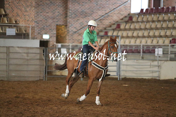RealDealRodeoNov2013_0249