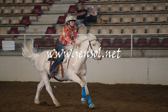 RealDealRodeoNov2013_0175