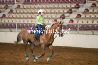 RealDealRodeoNov2013_0019