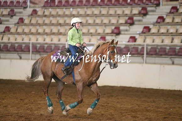 RealDealRodeoNov2013_0019