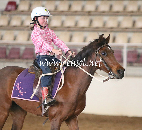 RealDealRodeoNov2013_0003