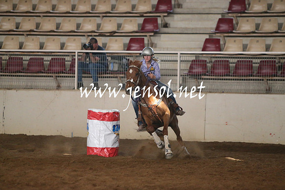 RealDealRodeoNov2013_0329