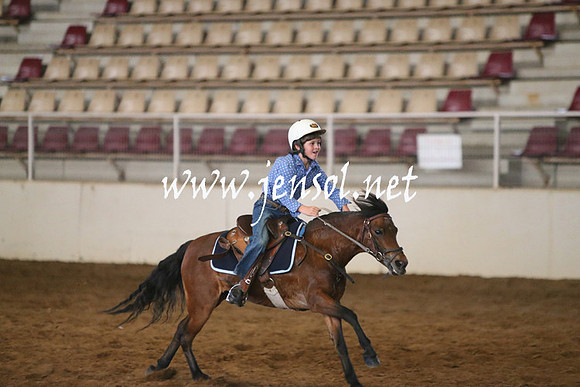RealDealRodeoNov2013_0042