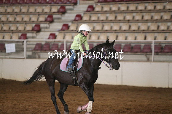 RealDealRodeoNov2013_0060