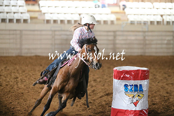 RealDealRodeoNov2013_0048