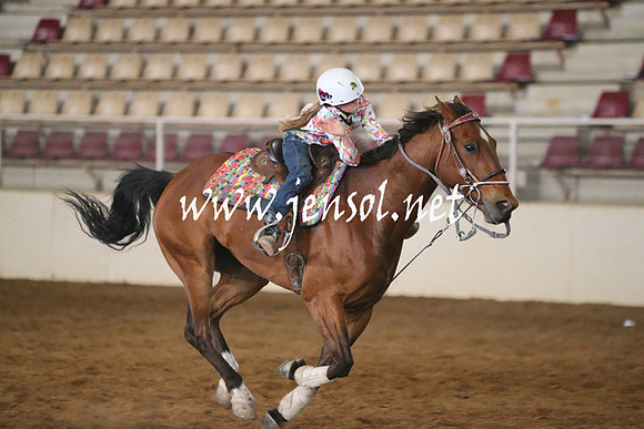 RealDealRodeoNov2013_0079