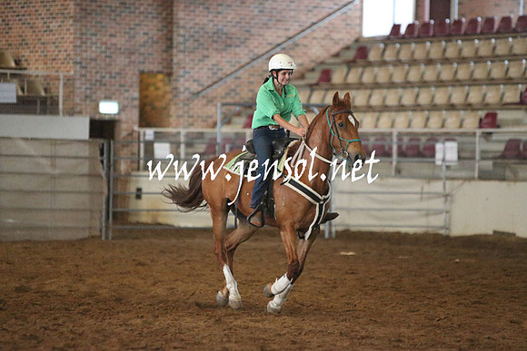 RealDealRodeoNov2013_0250