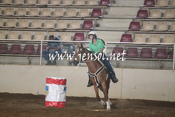 RealDealRodeoNov2013_0246