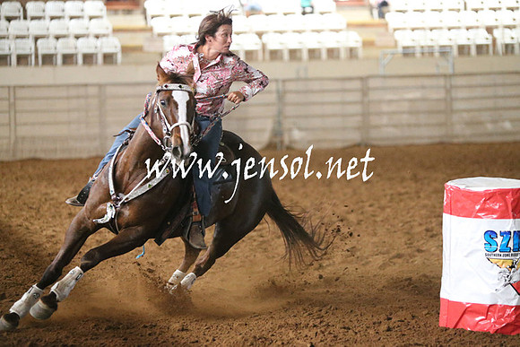 RealDealRodeoNov2013_0271