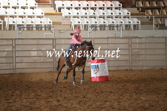 RealDealRodeoNov2013_0104