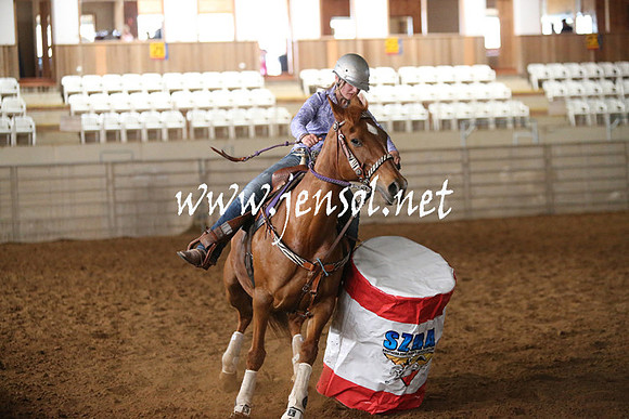 RealDealRodeoNov2013_0331