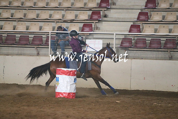 RealDealRodeoNov2013_0179