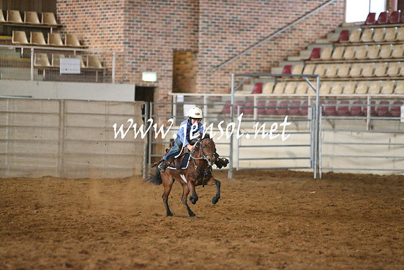 RealDealRodeoNov2013_0039