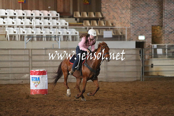 RealDealRodeoNov2013_0219