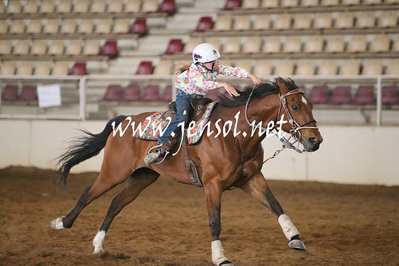 RealDealRodeoNov2013_0077
