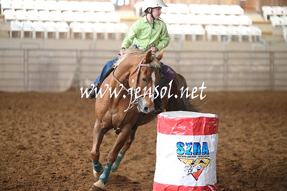 RealDealRodeoNov2013_0015