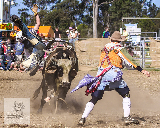 Moruya_Rodeo_2009 120