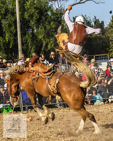 Moruya_Rodeo_2009 205