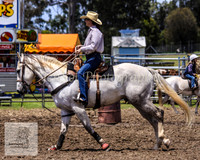 Moruya_Rodeo_2009 008
