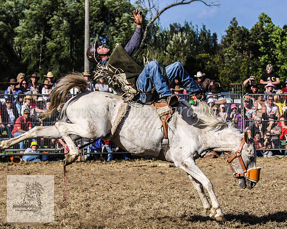 Moruya_Rodeo_2009 133
