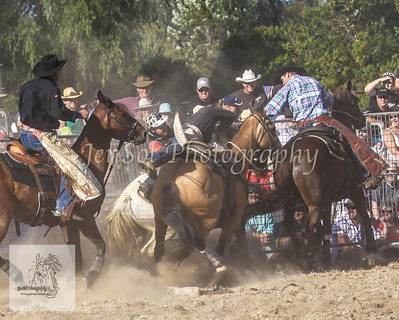 Moruya_Rodeo_2009 142
