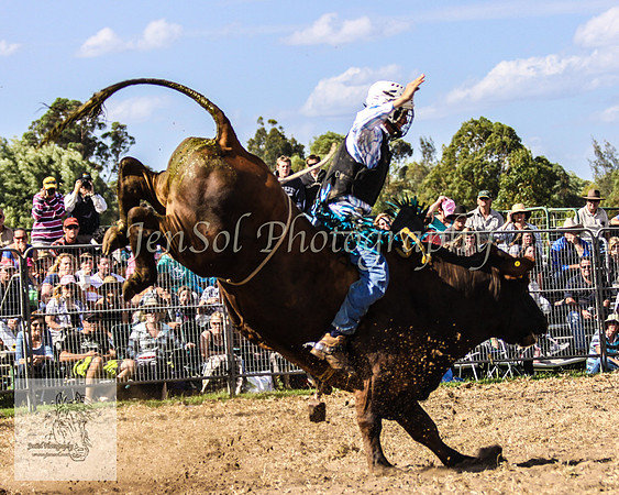 Moruya_Rodeo_2009 113