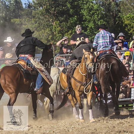Moruya_Rodeo_2009 143