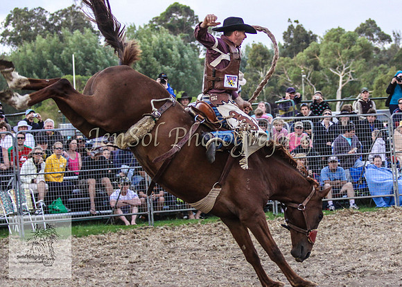 Moruya_Rodeo_2009 233